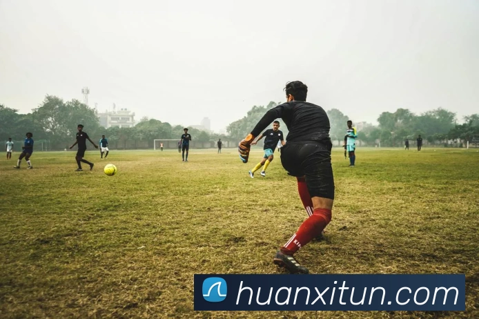 开云官网平台生态图